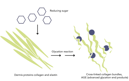 Glycation
