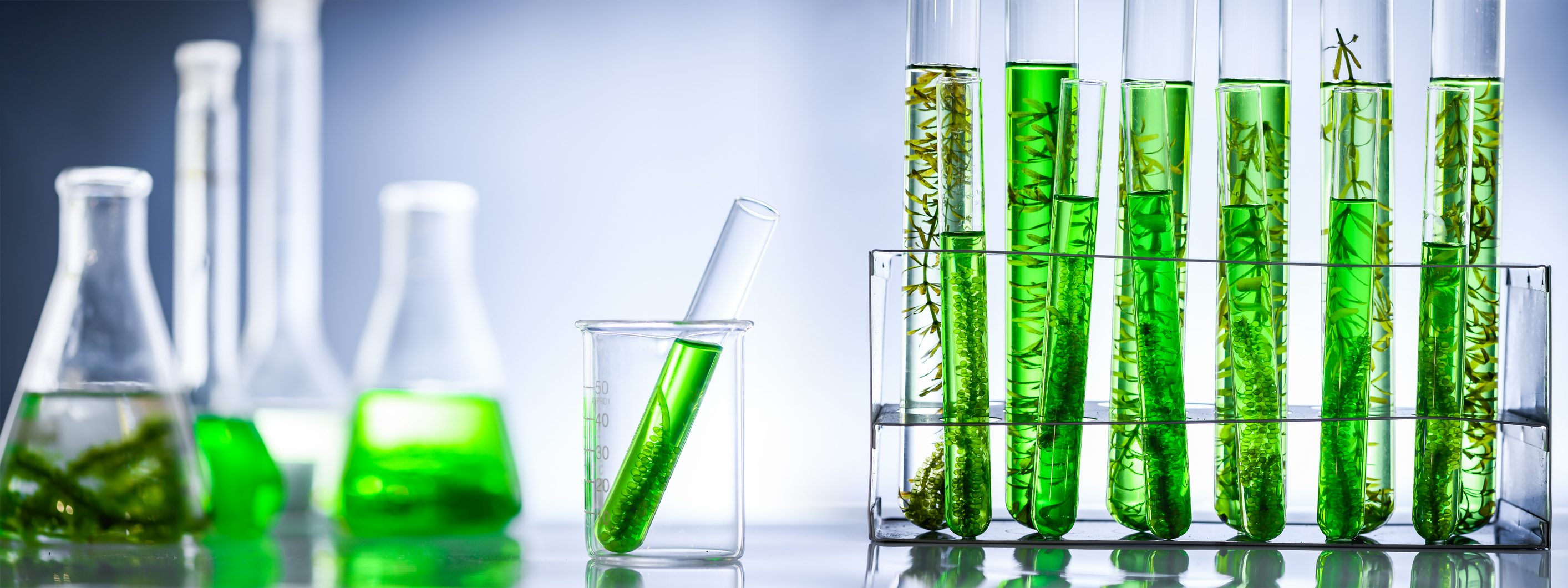istock-1319860043.jpg