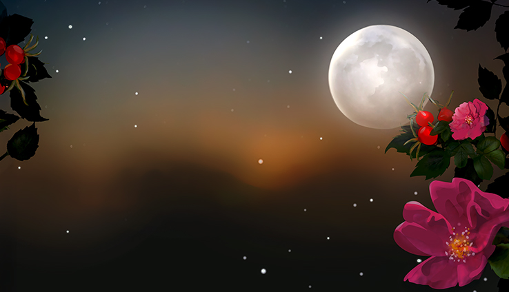 LunaRose
