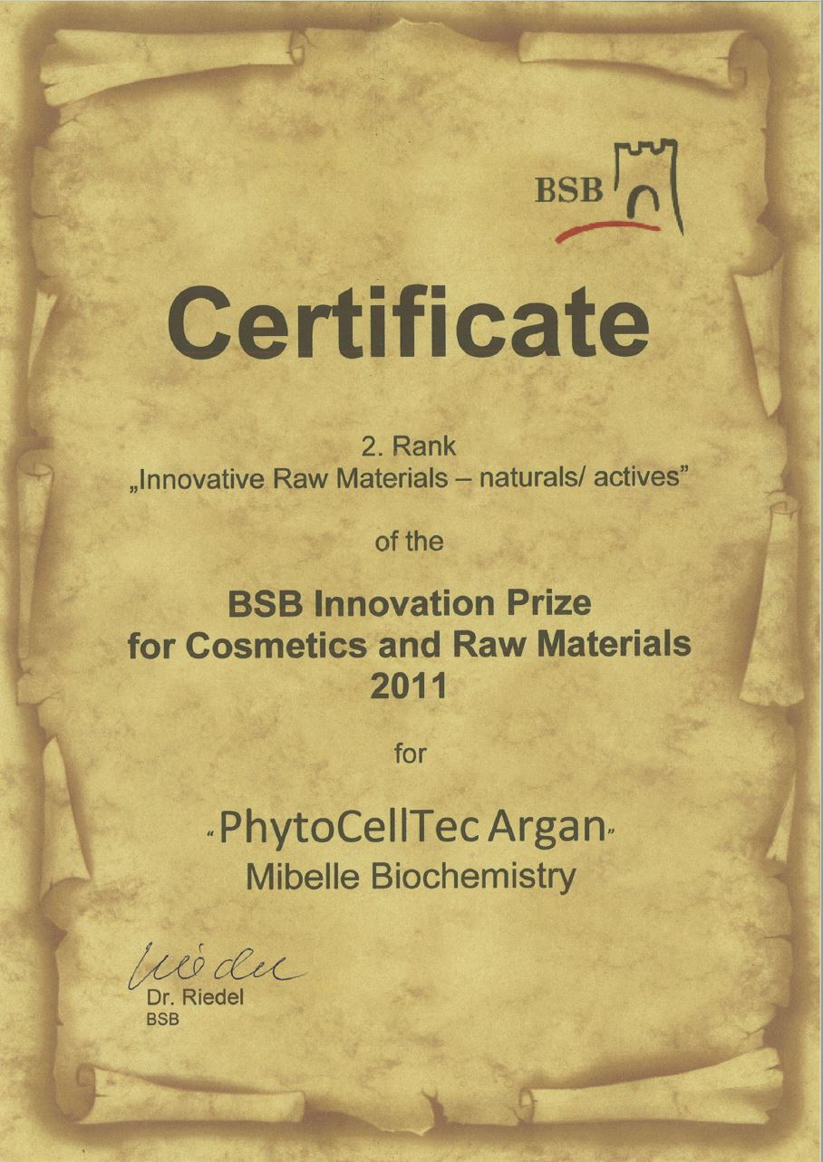 BSB European Innovation Award 2011