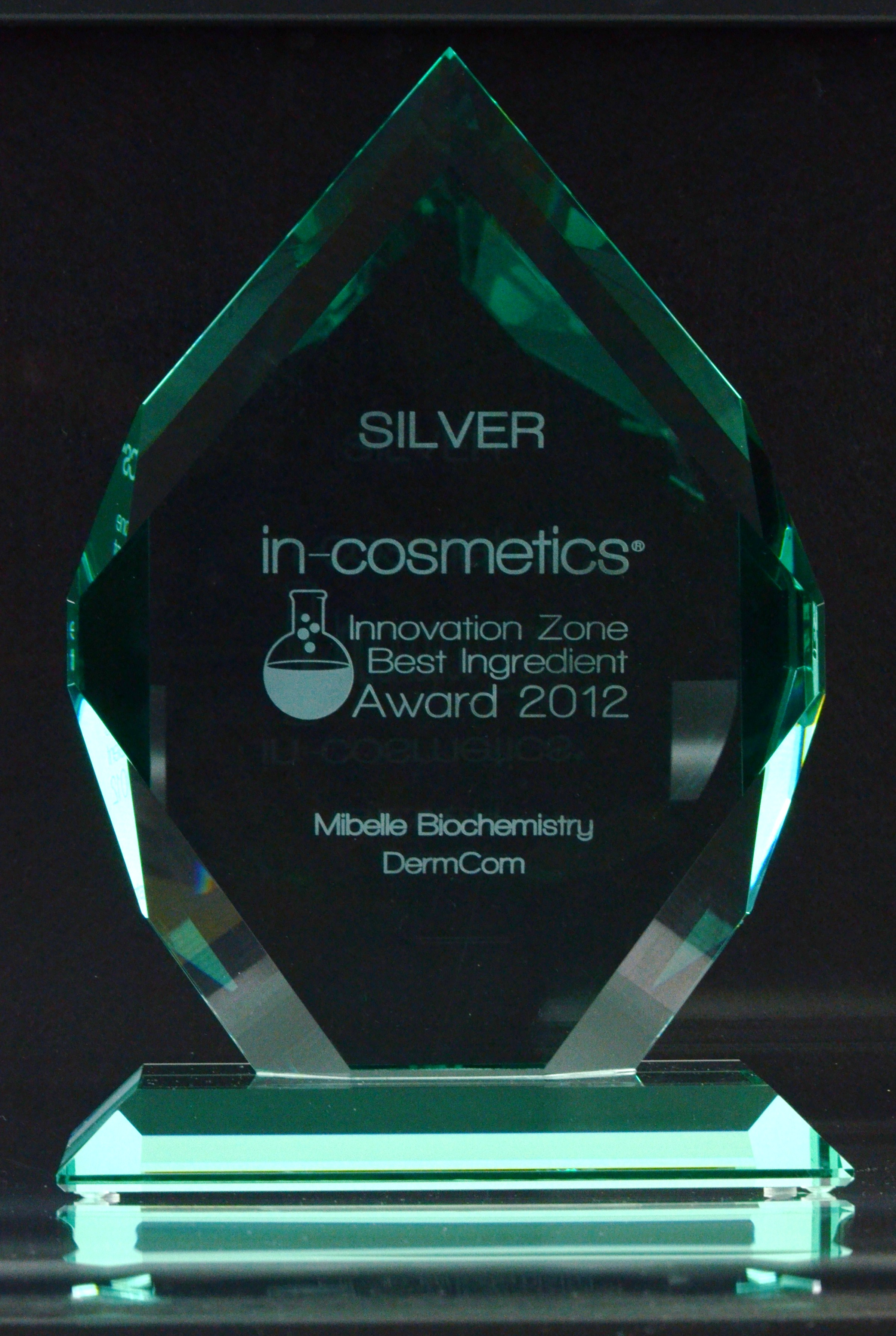 Silver Award at Innovation Zone