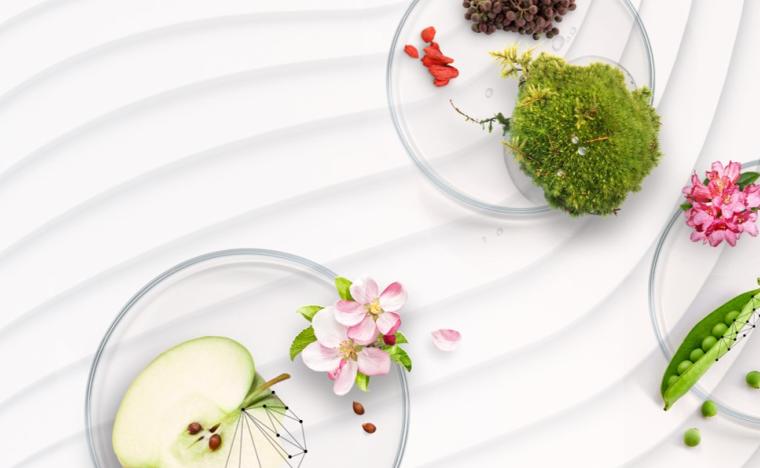 Supplier of Active Ingredients