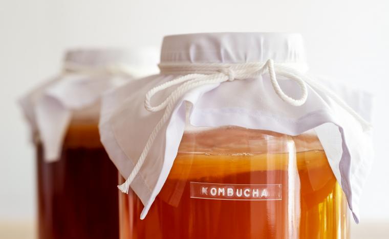 kombucha